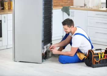 Bosch Derin Dondurucu Servisi