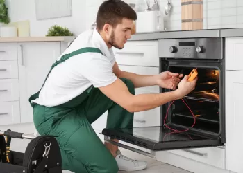 Bosch Servisi Çınar