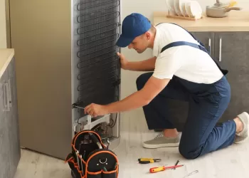 Bosch Servisi Genç Osman