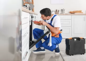 Bosch Servisi Nuripaşa
