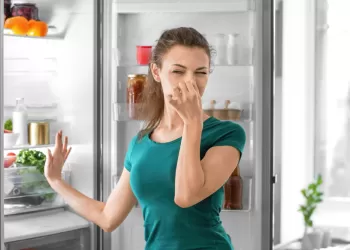 Beko Buzdolabından Koku Geliyor!